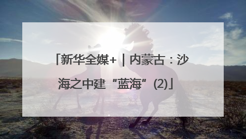 新华全媒+｜内蒙古：沙海之中建“蓝海”(2)