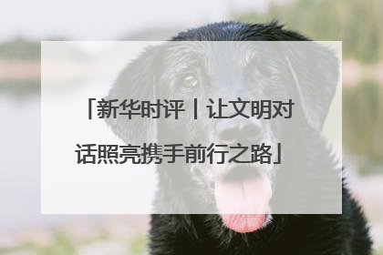 新华时评丨让文明对话照亮携手前行之路