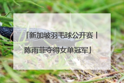 新加坡羽毛球公开赛丨陈雨菲夺得女单冠军