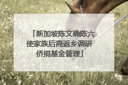 新加坡陈文确陈六使家族后裔返乡调研侨捐基金管理