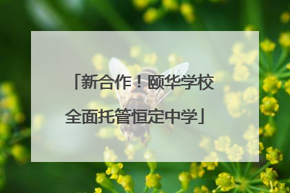 新合作！颐华学校全面托管恒定中学