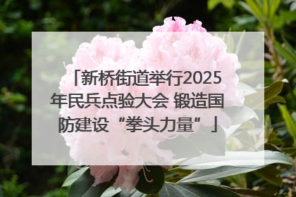 新桥街道举行2025年民兵点验大会 锻造国防建设“拳头力量”