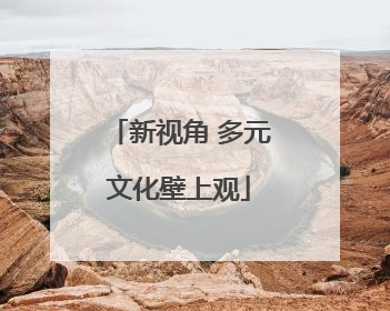 新视角 多元文化壁上观