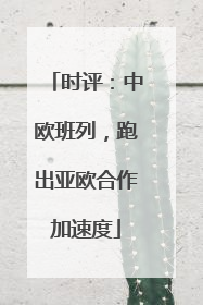 时评：中欧班列，跑出亚欧合作加速度