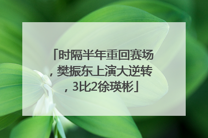时隔半年重回赛场，樊振东上演大逆转，3比2徐瑛彬