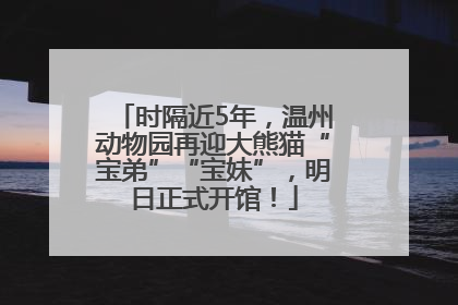 时隔近5年，温州动物园再迎大熊猫“宝弟”“宝妹”，明日正式开馆！