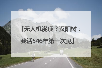 无人机浇顶？汉阳树：我活546年第一次见