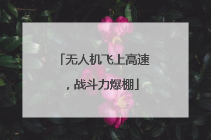 无人机飞上高速，战斗力爆棚