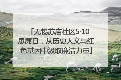 无锡苏庙社区5·10思廉日，从历史人文与红色基因中汲取廉洁力量