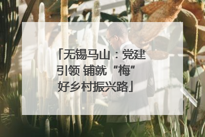 无锡马山：党建引领 铺就“梅”好乡村振兴路