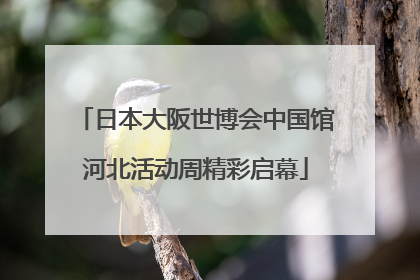日本大阪世博会中国馆河北活动周精彩启幕