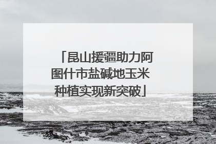 昆山援疆助力阿图什市盐碱地玉米种植实现新突破