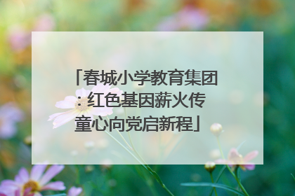 春城小学教育集团：红色基因薪火传 童心向党启新程