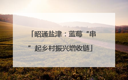 昭通盐津：蓝莓“串”起乡村振兴增收链