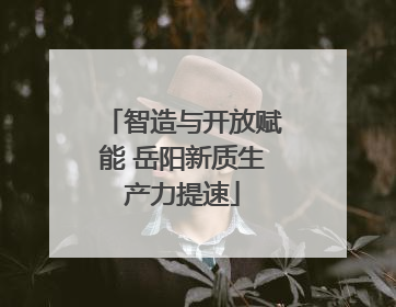 智造与开放赋能 岳阳新质生产力提速