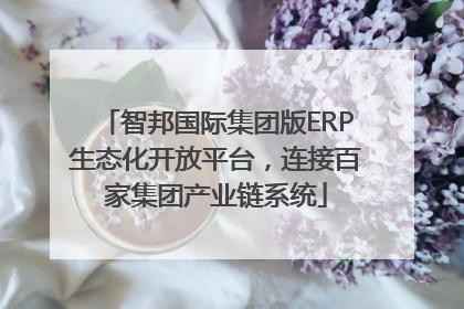 智邦国际集团版ERP生态化开放平台，连接百家集团产业链系统