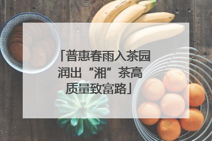 普惠春雨入茶园 润出“湘”茶高质量致富路