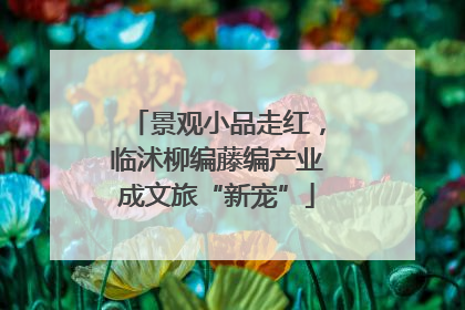 景观小品走红，临沭柳编藤编产业成文旅“新宠”