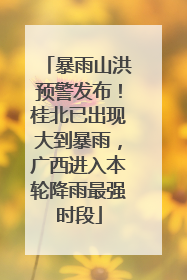 暴雨山洪预警发布！桂北已出现大到暴雨，广西进入本轮降雨最强时段