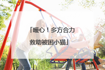 暖心！多方合力救助被困小猫