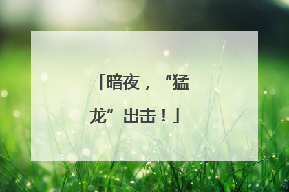 暗夜，“猛龙”出击！