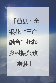 曹县：金银花“三产融合”托起乡村振兴致富梦