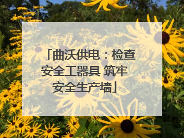 曲沃供电：检查安全工器具 筑牢安全生产墙