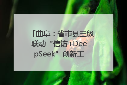 曲阜：省市县三级联动“信访+DeepSeek”创新工作新闻发布会举行