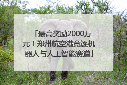 最高奖励2000万元！郑州航空港竞逐机器人与人工智能赛道