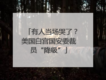 有人当场哭了？美国白宫国安委裁员“降级”