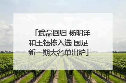 武磊回归 杨明洋和王钰栋入选 国足新一期大名单出炉