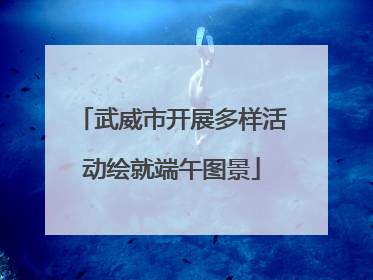 武威市开展多样活动绘就端午图景