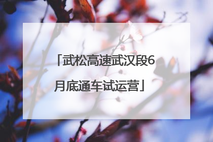 武松高速武汉段6月底通车试运营