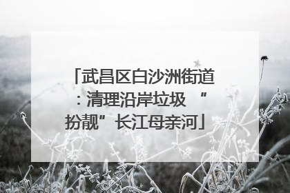 武昌区白沙洲街道：清理沿岸垃圾 “扮靓”长江母亲河