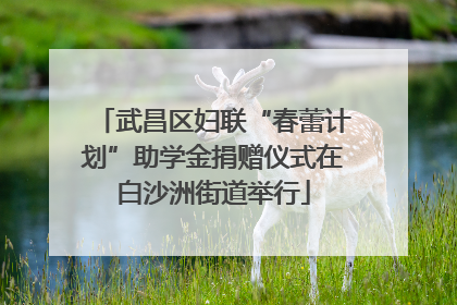 武昌区妇联“春蕾计划”助学金捐赠仪式在白沙洲街道举行