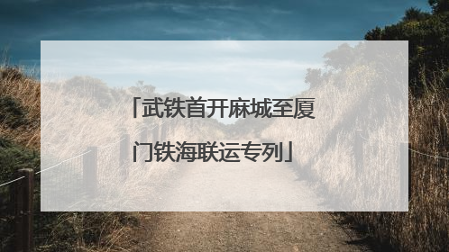 武铁首开麻城至厦门铁海联运专列