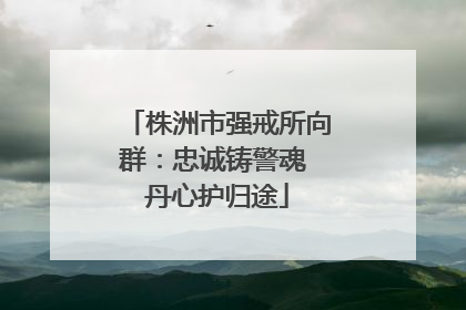 株洲市强戒所向群：忠诚铸警魂 丹心护归途