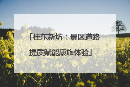 桂东新坊：景区道路提质赋能康旅体验