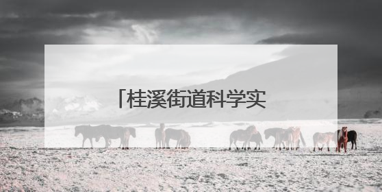 桂溪街道科学实验秀活动助力传统商圈焕新升级