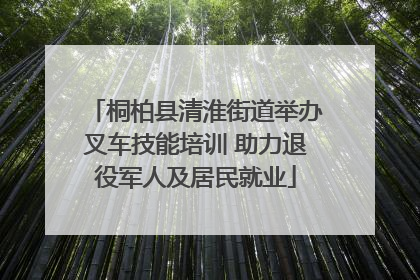 桐柏县清淮街道举办叉车技能培训 助力退役军人及居民就业