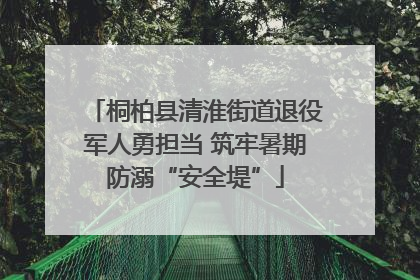 桐柏县清淮街道退役军人勇担当 筑牢暑期防溺“安全堤”
