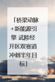 桥梁动脉+新能源引擎 武陟经开区双赛道冲刺半年目标