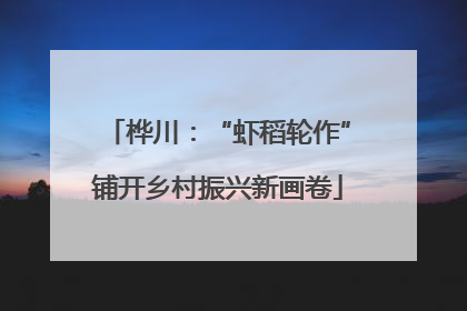 桦川：“虾稻轮作”铺开乡村振兴新画卷