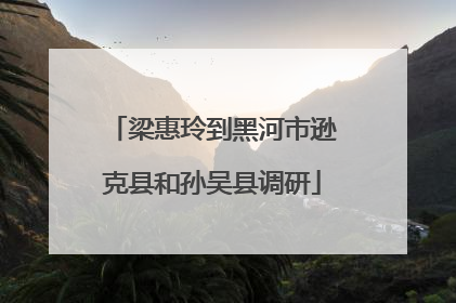 梁惠玲到黑河市逊克县和孙吴县调研