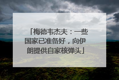 梅德韦杰夫：一些国家已准备好，向伊朗提供自家核弹头