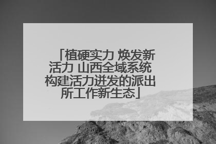 植硬实力 焕发新活力 山西全域系统构建活力迸发的派出所工作新生态