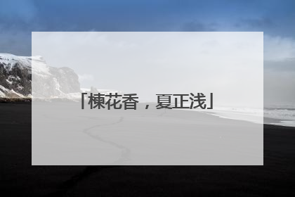 楝花香，夏正浅