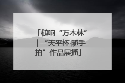槌响“万木林”｜“天平杯·随手拍”作品展播