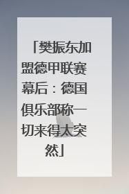 樊振东加盟德甲联赛幕后：德国俱乐部称一切来得太突然