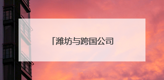 潍坊与跨国公司合作对接会举行